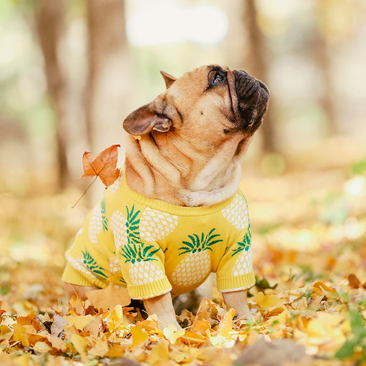 [MPK Dog Winter Wear] Bak-Kiann Dog Sweater, Luxurious Warm Clothing for French Bulldogs